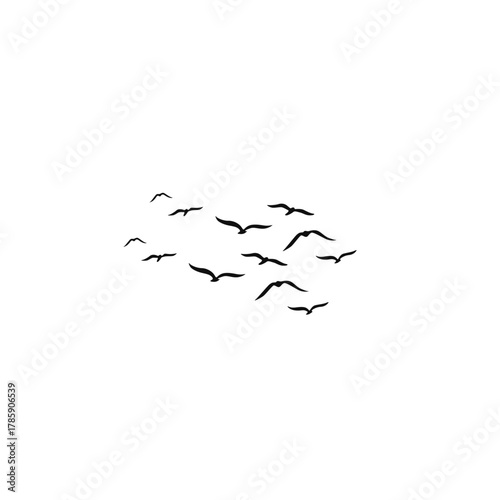 A flock of birds soaring gracefully across the bright blue sky, symbolizing freedom, peace, and harmony with nature.