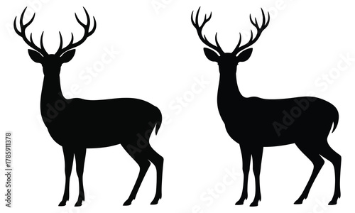 silhouette of a deer