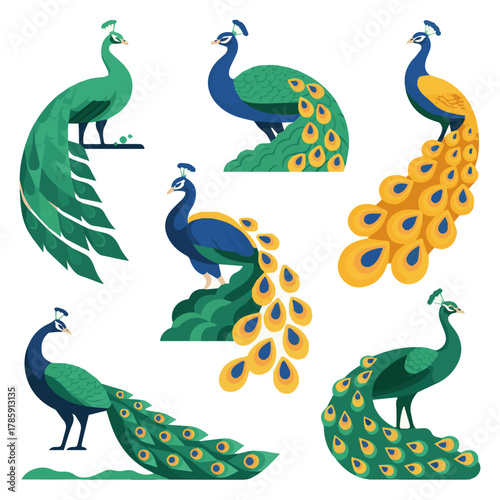  Isolated a kinds of deferent Peacock vector art with white background.