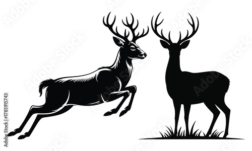 silhouette of a deer