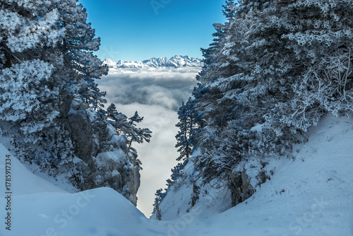 L' hiver en montagne , massif de la Chartreuse , Aulp du Seuil , Col de Marcieu , Isère , France