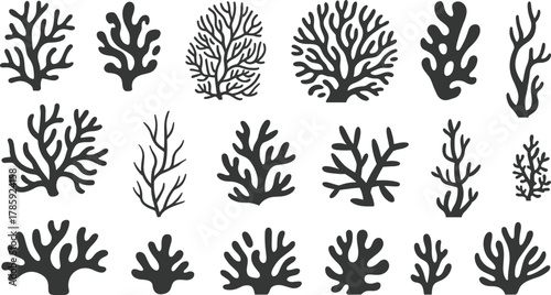 Coral silhouettes, marine shapes, ocean graphics, underwater clipart, reef icons, sea life design, black coral set, aquatic vector illustration