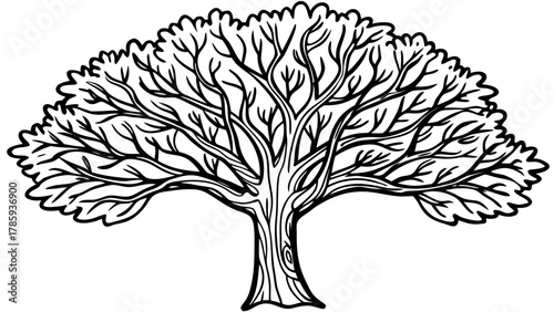 Very beautiful vector illustration of a simple black tree in doodle style, isolated on a white background, featuring hand-drawn lines, minimalist design, and a playful yet realistic natural appearance