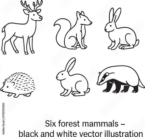 forest mammals black and white vector illustration eps