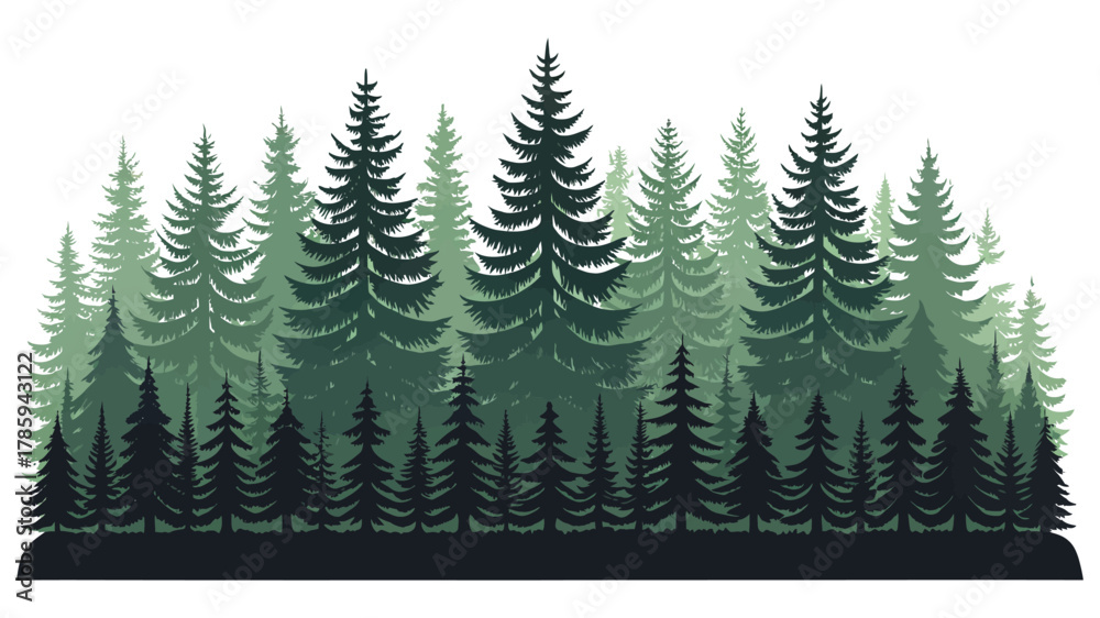 Obraz premium Dense Evergreen Conifer Forest Silhouette Illustration in Layered Green Tones 
