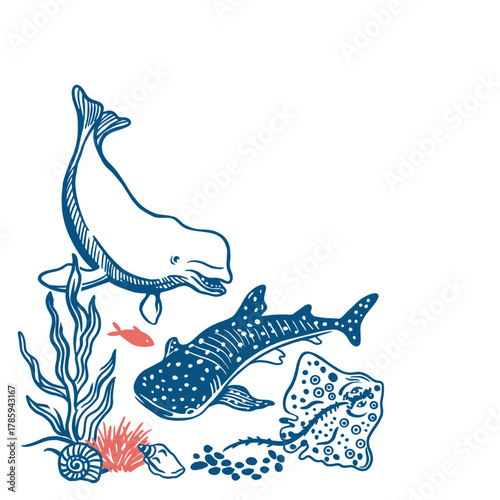 Marine animals. Tiger shark, beluga dolphin, stingray, seaweed and shells. Hand drawn vector line art illustration in blue for posters and banners. Perfect for travel postcards.