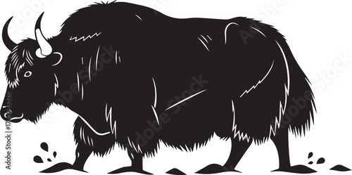 Silhouette of a shaggy wild yak walking across a stark with a rough texture