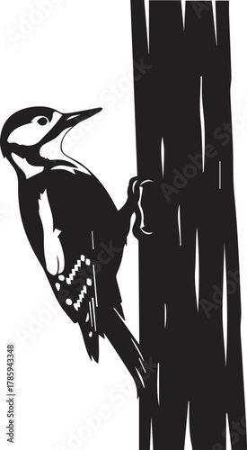 Woodpecker perched on a tree trunk with detailed black and white texture