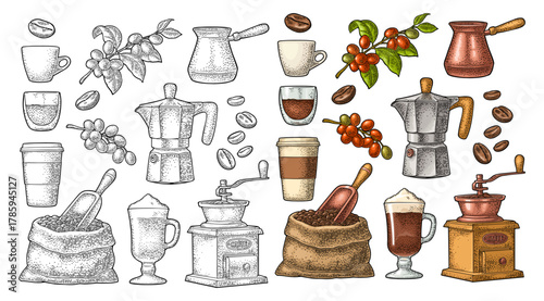 Set coffee. Beans, wooden scoop, sack, moka pot, turkish copper, hand-held grinder, branch with leaf and berry, glass latte with whipped cream. Vintage color vector engraving isolated on white