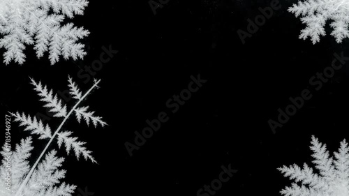 Abstract Freezing Transition with beautiful window animation from borders to center timelapse frost forming natural crystal icing isolated on black background and white luminance matte alpha channel