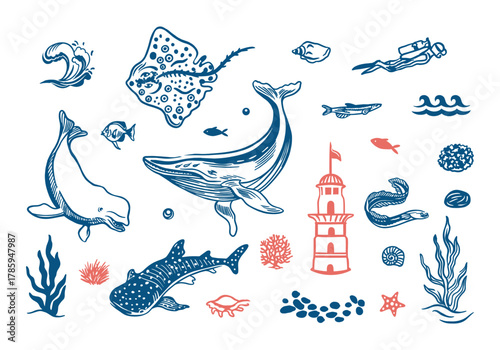 Marine set. Whale, tiger shark, beluga dolphin, stingray, lighthouse, wave, fish, shells. Hand drawn vector line art illustration in blue for posters and banners. Perfect for travel postcards.