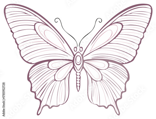 Elegant line art butterfly with intricate wing patterns in delicate purple and pink tones
