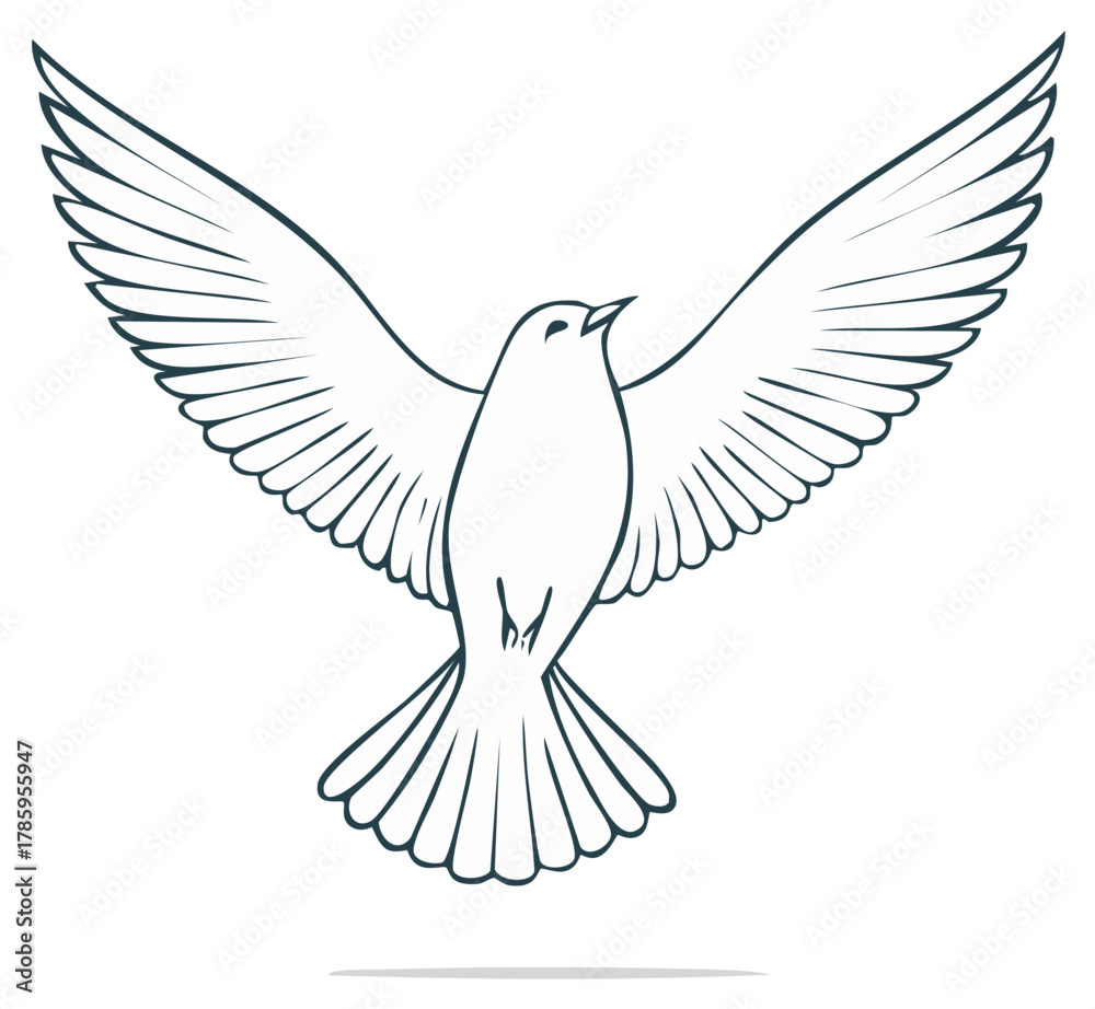 Obraz premium Outline Drawing of a White Dove with Wings Spread in Flight