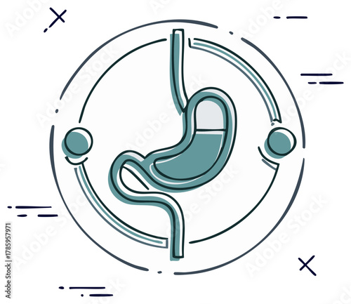Digestive system medical illustration of stomach with pill capsule inside