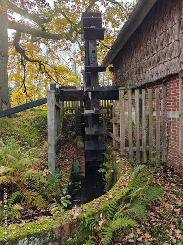 Deutschland, Wilsum watermill. Historic water mill. Wassermühle Wilsum. A watermill is a mill that uses water power. Fall season. Germany autumn trees. Old wooden house or farm.