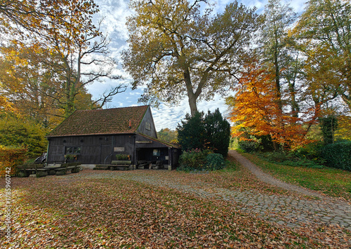 Deutschland, Uelsen watermill. Historic water mill. Wassermühle Uelsen. A watermill is a mill that uses water power. Fall season. Autumn trees. Old wooden house or farm.