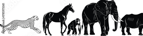 Cad drawing flat vector illustration, animal silhouette lineup, cheetah horse chimpanzee elephant rhinoceros, wildlife comparison concept, educational nature design