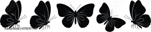 Cad drawing flat vector illustration, butterfly silhouette lineup, wing shape variation, symmetrical insect design, nature inspired artwork, black and white concept