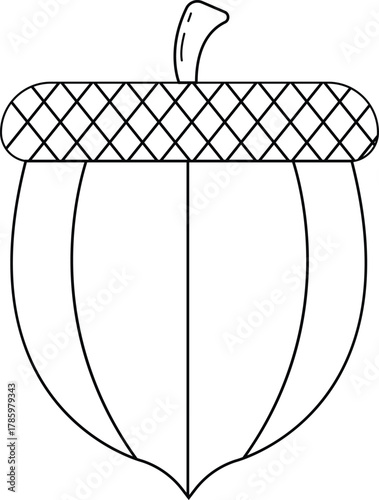 Acorn Outline Icon Illustration on White Background