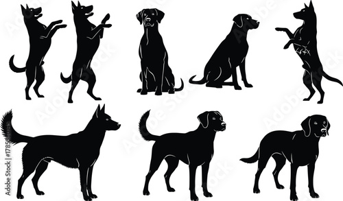 Cad drawing flat vector illustration, dog silhouette poses, standing sitting anatomical view, pet anatomy concept, black and white design