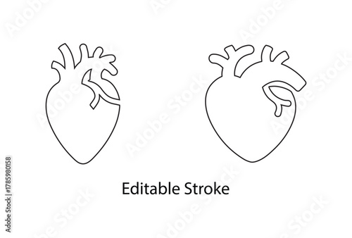anatomical heart vector editable stroke icon set, human heart logo symbol vector line icon illustration