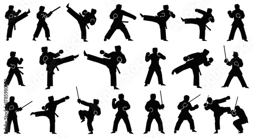 Silhouette figures demonstrating martial arts stances and movements, including kicks, punches, and weapon handling.