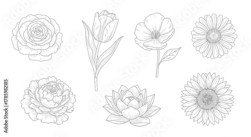 Line art illustration featuring a collection of six different flower types, including roses, tulips, and water lilies.