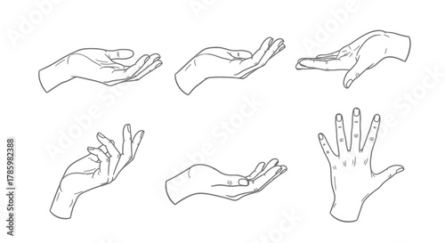 Six hand drawings showing different poses, including cupped, open, and palm-up gestures, rendered in a detailed line art style.