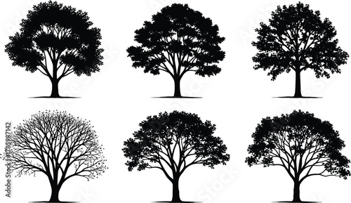 Cad drawing flat vector illustration, black silhouette deciduous trees, natural forest design, eco landscape artwork, botanical outline, environmental nature graphic