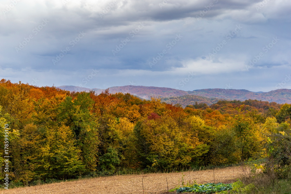 Naklejka premium Colorful autumn mountain scenery with forests and fields in bright fall tones