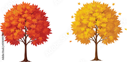 Autumn trees, fall foliage, seasonal change, red leaves, yellow leaves, deciduous trees, nature scene, vector art, cartoon style, illustration