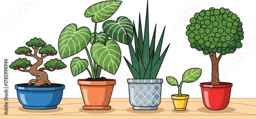 Potted plant vector set, bonsai, leafy and spiky indoor plants, decorative pots, home gardening clipart, botanical decor icon, stylized foliage