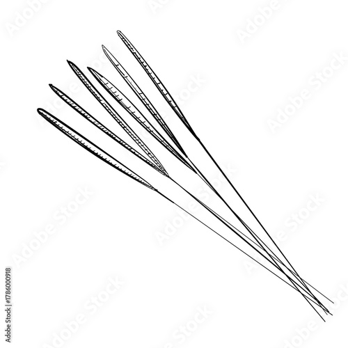 Sparkler fireworks handheld burning vector line art hand drawn illustration