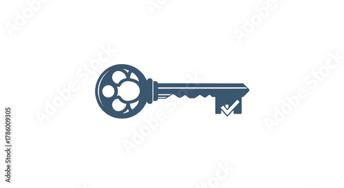 Vintage style key with a checkmark symbol on its bit representing success security or a verified solution