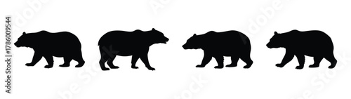 Black bear silhouette vector illustration walking bears wildlife animal nature graphic design art