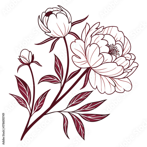 Peony Flower Art with Leaves and Blooms