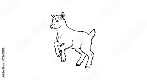 Cartoon goat jumping playfully, vector illustration in a simple linear black and white design