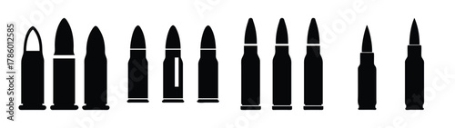 Collection of various types of ammunition bullets ammo cartridges for firearms and weapons use