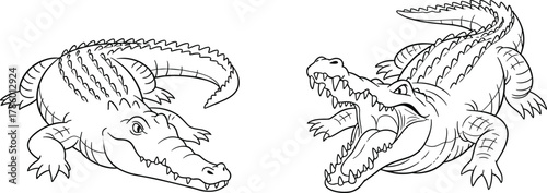 crocodile alligator vector, reptile line drawing, wildlife sketch illustration, flat animal design, aggressive pose art, cad drawing flat vector illustration