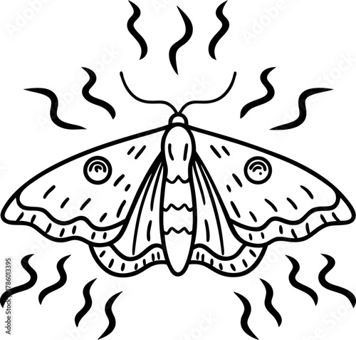 Illustration of moth insect with spread wings, decorative lines, and pattern details black and white outline drawing