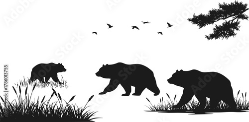 Silhouette of wild bears walking in forest grassland with birds flying and trees creating natural wildlife outdoor scenery