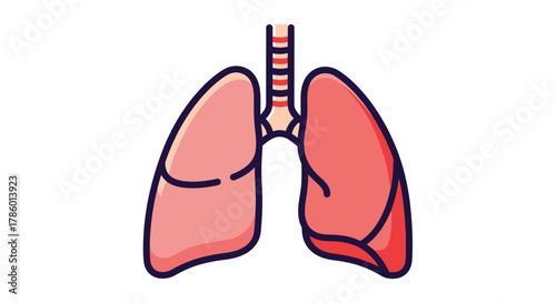 Human Lungs Anatomy Illustration for Medical Purposes.