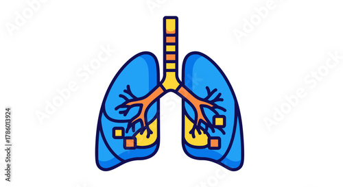 Human Lungs Anatomy Medical Illustration.
