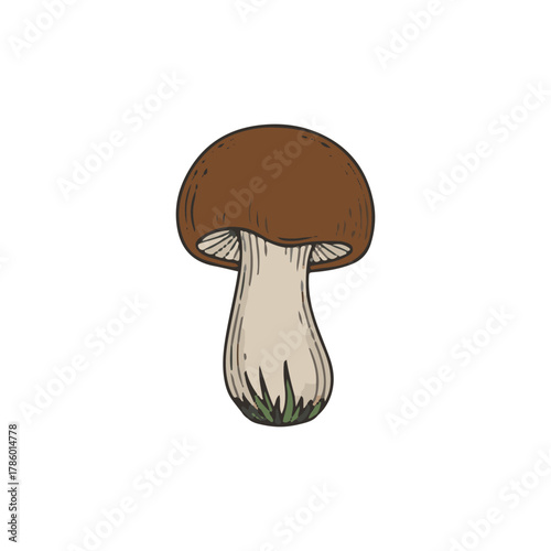 A single, detailed mushroom illustration featuring a brown cap and a beige stem, with subtle grass.