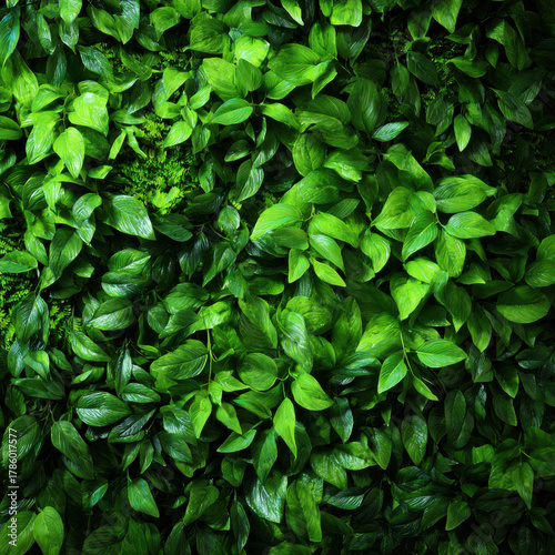 Green Shrubs and Bushes, Natural Plant Background for Landscape and Design Projects