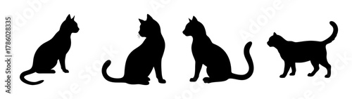 Silhouette cat breeds vector art: oriental shorthair, siamese, and abyssinian cat silhouettes vector
