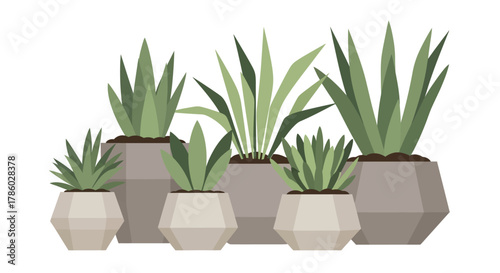 Collection of potted plants in geometric pots, modern design.