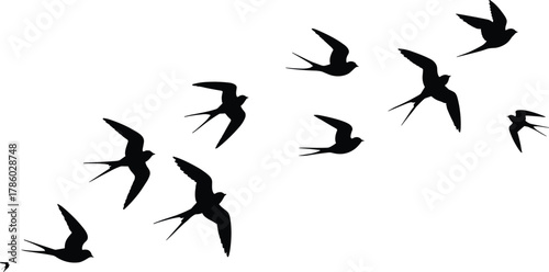 Flying bird silhouettes in dynamic motion, flock formation, freedom concept vector illustration for nature, wildlife, migration, travel, lifestyle, design inspiration content