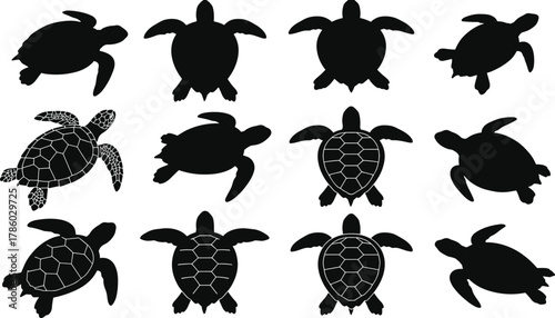 Sea turtle silhouettes with varied shell patterns and flipper designs vector illustration for marine wildlife, ocean animals, nature, education, aquarium, tourism inspiration content