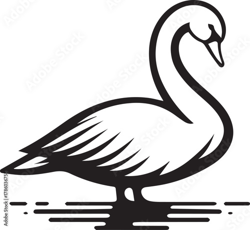 Elegant Swan in Black & White – Minimalist Monochrome Bird Photography